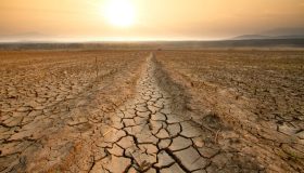 Super El Niño, prezzi del cibo su fino al 2028: la spesa degli italiani rischia un +15,8%
