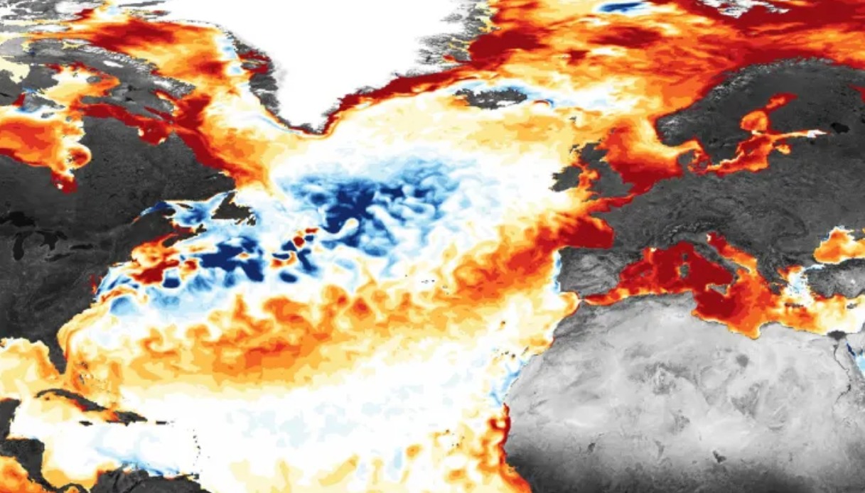 Oceani mai così caldi, i mari da record in Italia tra eventi estremi e pesca a rischio