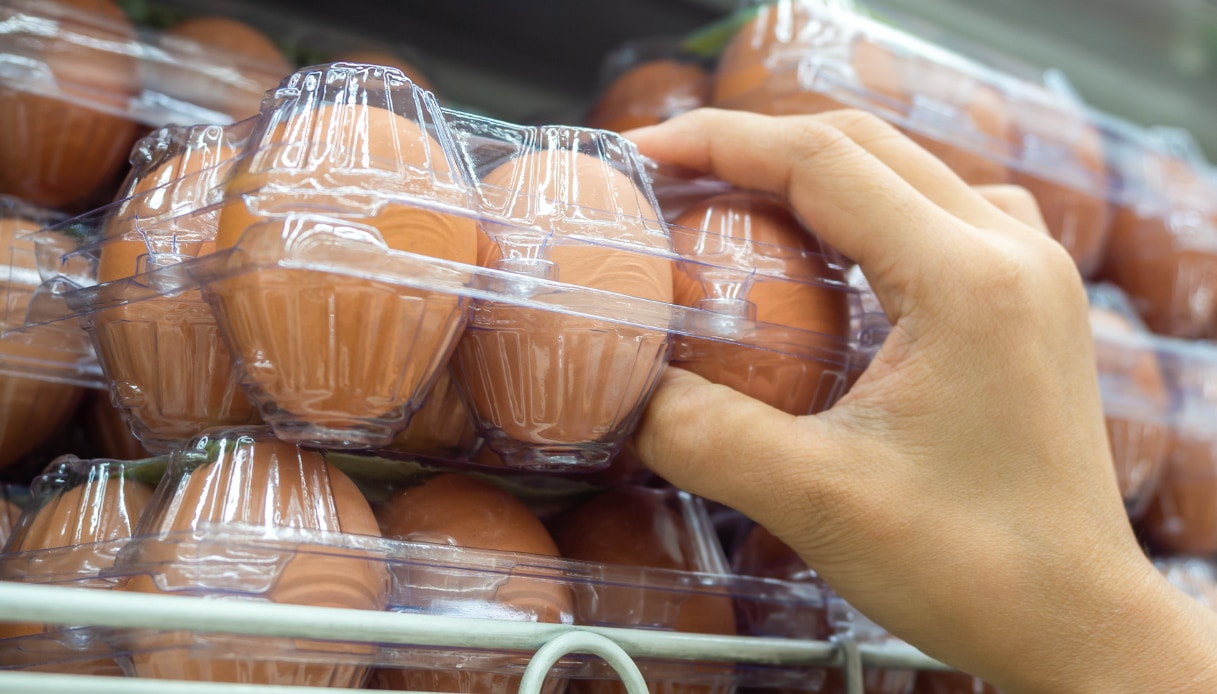 salmonella nelle uova fresche scatta il richiamo le confezioni a rischio da Quifinanza.it salmonella nelle uova fresche scatta il richiamo le confezioni a rischio