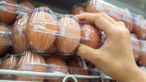 Salmonella nelle uova fresche, scatta il richiamo: le confezioni a rischio