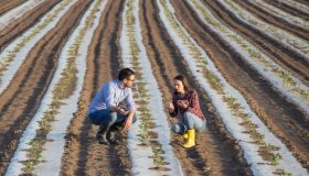 Agricoltura in ginocchio a causa del caldo, miliardi di euro di danni: chi paga il prezzo più alto