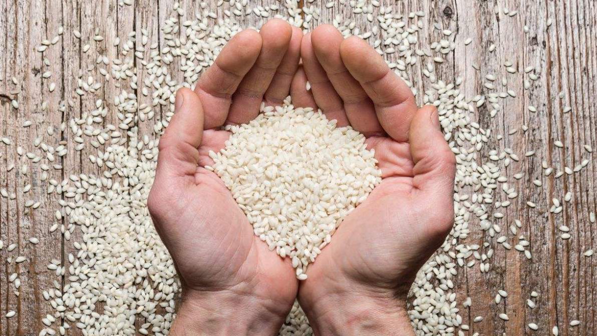 La produzione di riso italiano è in crisi, cosa c’è veramente dietro il crollo dei prezzi