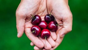Clima estremo minaccia le ciliegie italiane, crollano i raccolti e salgono i prezzi: tutti gli aumenti