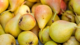 Crollo delle pere italiane, persi 15mila ettari e prezzi su: perché sempre più frutta viene scartata