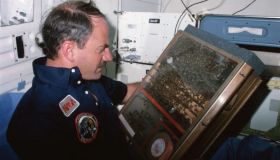Api nello spazio: l’esperimento Nasa del 1984 e i favi senza gravità