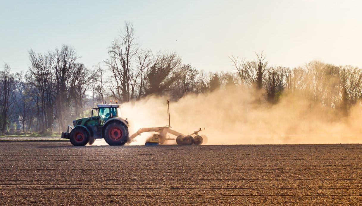 nuovi fondi per l8217agricoltura in arrivo 137 milioni per l8217italia a chi vanno gli aiuti straordinari da Quifinanza.it nuovi fondi per l8217agricoltura in arrivo 137 milioni per l8217italia a chi vanno gli aiuti straordinari