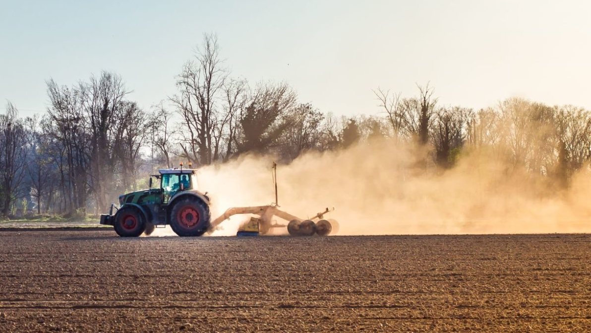 Nuovi fondi per l’agricoltura, in arrivo 137 milioni per l’Italia: a chi vanno gli aiuti straordinari
