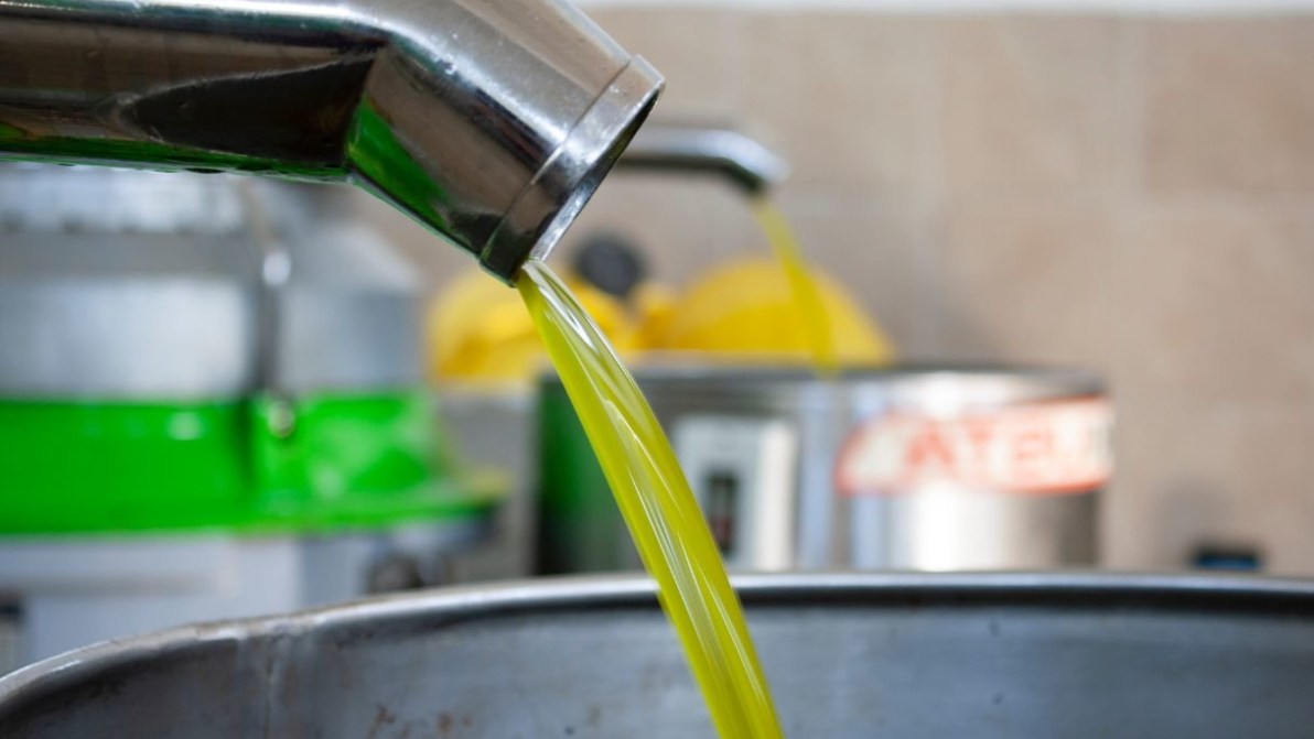 Prezzi olio italiano in calo, com’è messo il Made in Italy? Il confronto con Spagna, Grecia e Tunisia
