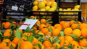 La crisi delle arance continua, cosa sta succedendo alla produzione made in Italy