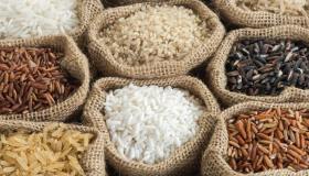 Il riso asiatico minaccia quello italiano, scatta l’allerta prezzi: cosa rischia il made in Italy