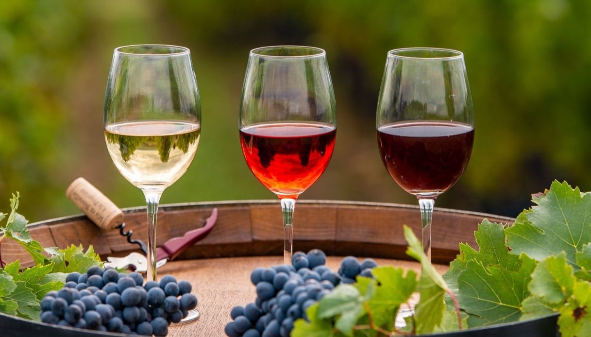 i migliori vini abruzzesi del 2027 quali sono i premiati con i tre bicchieri gambero rosso da Quifinanza.it i migliori vini abruzzesi del 2027 quali sono i premiati con i tre bicchieri gambero rosso
