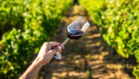I migliori vini toscani del 2027, quali sono i premiati da Gambero Rosso