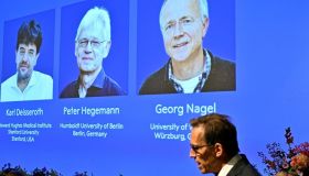 Premio Nobel Medicina 2026 assegnato a due scienziati tedeschi e uno statunitense