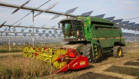Agrivoltaico, la scommessa dell’Europa solare: pro e contro per gli agricoltori