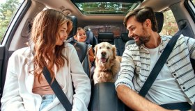 Nuovo Codice della Strada, cosa cambia con gli animali a bordo: nuove regole e sanzioni